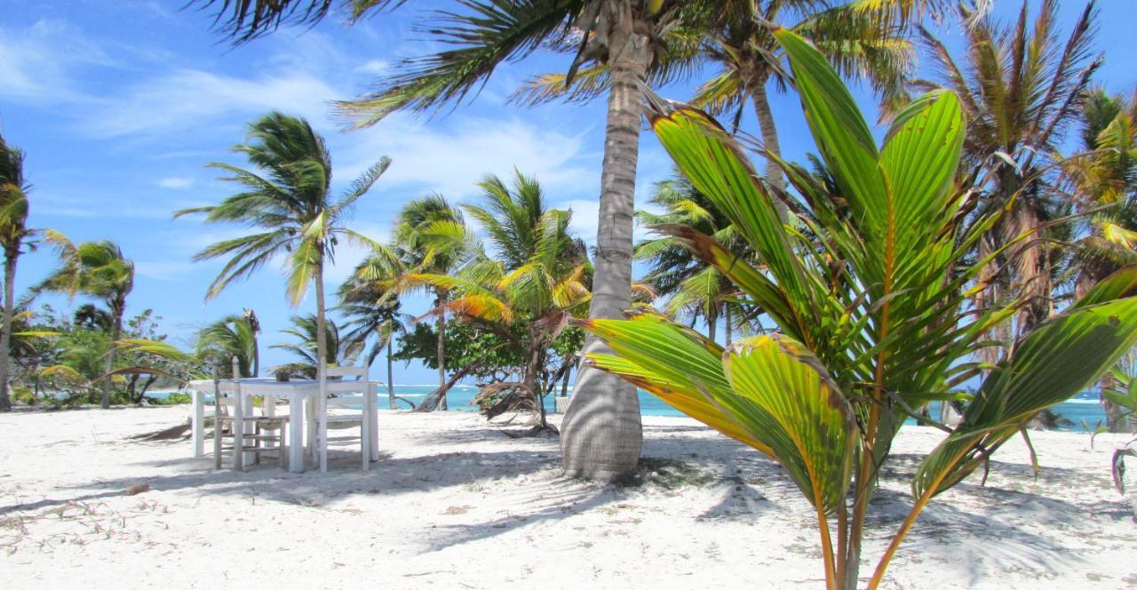 Cabanas Ecoturisticas Costa Maya Mahahual Eksteriør billede