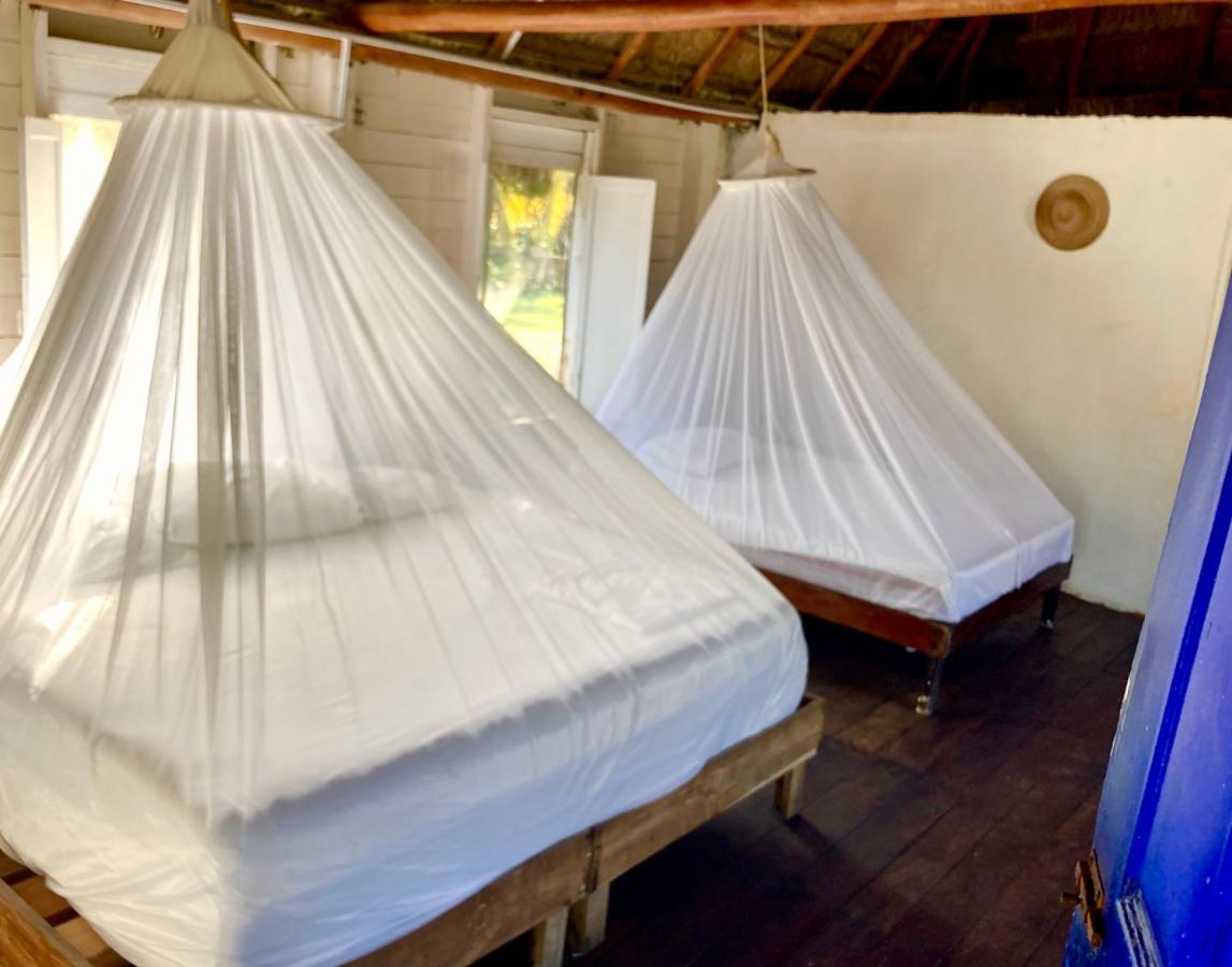 Cabanas Ecoturisticas Costa Maya Mahahual Eksteriør billede