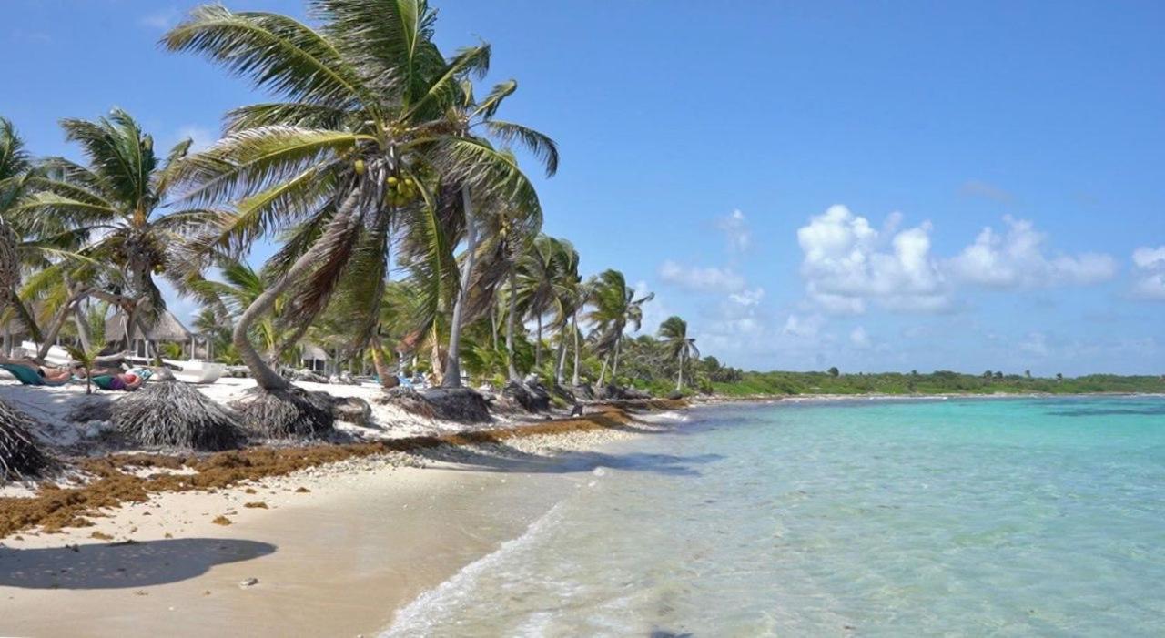 Cabanas Ecoturisticas Costa Maya Mahahual Eksteriør billede