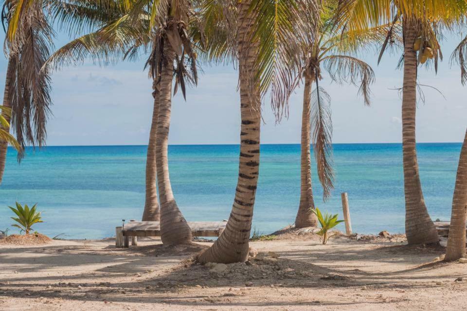 Cabanas Ecoturisticas Costa Maya Mahahual Eksteriør billede
