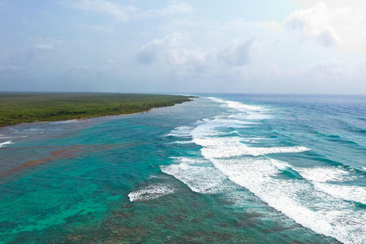Cabanas Ecoturisticas Costa Maya Mahahual Eksteriør billede