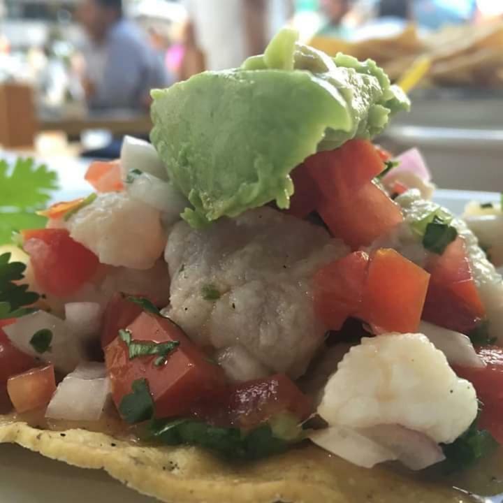 Cabanas Ecoturisticas Costa Maya Mahahual Eksteriør billede