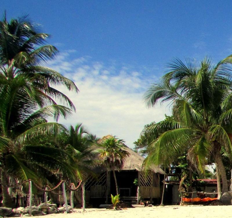 Cabanas Ecoturisticas Costa Maya Mahahual Eksteriør billede
